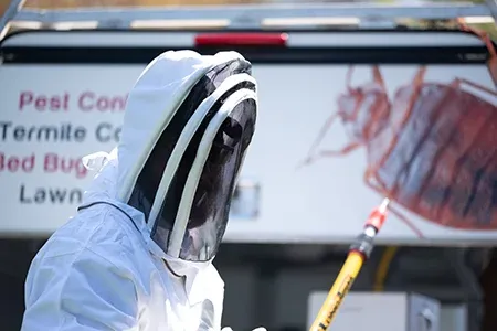 Stinging insect control removal, technician in protective bee gear